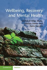 bokomslag Wellbeing, Recovery and Mental Health