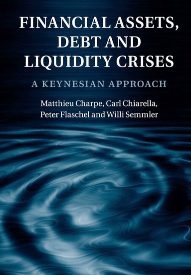 Matthieu Charpe, Carl Chiarella, Peter Flaschel, Willi Semmler - Financial Assets, Debt and Liquidity Crises, Häftad