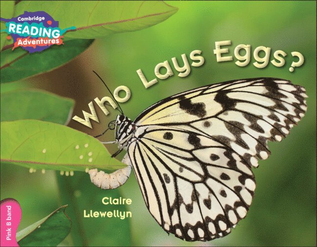 Clare Llewellyn - Cambridge Reading Adventures Who Lays Eggs? Pink B Band, Häftad