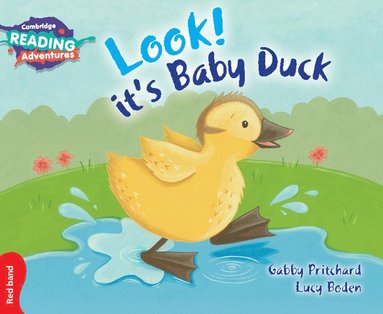 Gabby Pritchard - Cambridge Reading Adventures Look! It's Baby Duck Red Band, Häftad