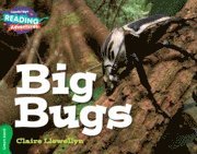 bokomslag Cambridge Reading Adventures Big Bugs Green Band