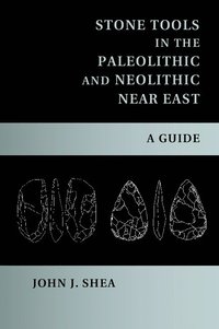 bokomslag Stone Tools in the Paleolithic and Neolithic Near East