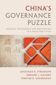 bokomslag China's Governance Puzzle