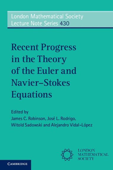 James C. Robinson, José L. Rodrigo, Witold Sadowski, Alejandro Vidal-López - Recent Progress in the Theory of the Euler and Navier-Stokes Equations, Häftad