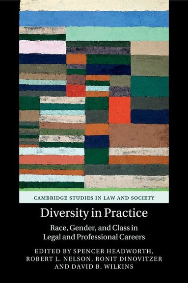 Spencer Headworth, Robert L. Nelson, Ronit Dinovitzer, David B. Wilkins - Diversity in Practice, Häftad
