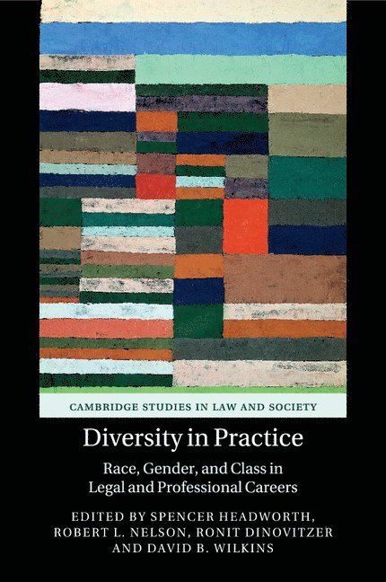 Diversity in Practice 1