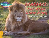 bokomslag Cambridge Reading Adventures Scarface: The Real Lion King Gold Band