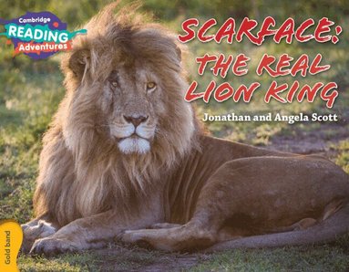 Jonathan and Angela Scott - Cambridge Reading Adventures Scarface: The Real Lion King Gold Band, Häftad