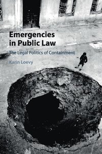 bokomslag Emergencies in Public Law