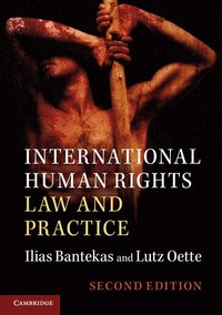 bokomslag International Human Rights Law and Practice