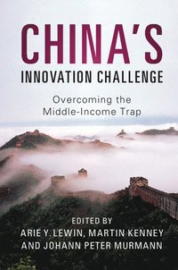 bokomslag China's Innovation Challenge