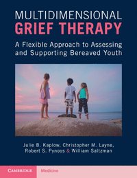bokomslag Multidimensional Grief Therapy