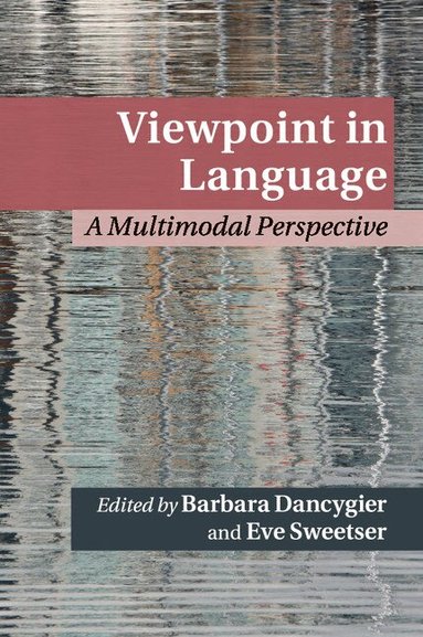 Barbara Dancygier, Eve Sweetser - Viewpoint in Language, Häftad