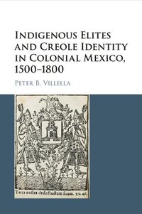 bokomslag Indigenous Elites and Creole Identity in Colonial Mexico, 1500-1800