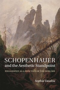 bokomslag Schopenhauer and the Aesthetic Standpoint
