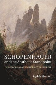 Schopenhauer and the Aesthetic Standpoint