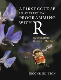 bokomslag A First Course in Statistical Programming with R