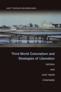 bokomslag Third World Colonialism and Strategies of Liberation