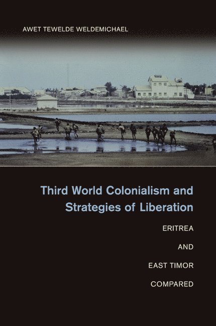 Awet Tewelde Weldemichael, Awet Tewelde (University of Kentucky) Weldemichael - Third World Colonialism and Strategies of Liberation, Häftad
