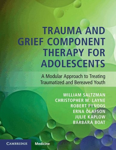 William Saltzman, Christopher Layne, Robert Pynoos, Erna Olafson, Julie Kaplow, Barbara Boat - Trauma and Grief Component Therapy for Adolescents, Häftad