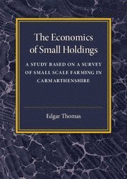 bokomslag Economics of Small Holdings