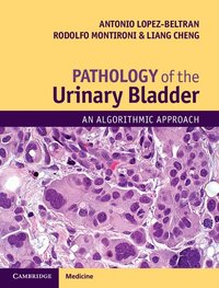 bokomslag Pathology of the Urinary Bladder