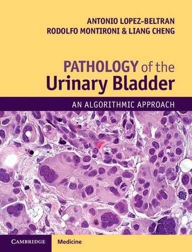 bokomslag Pathology of the Urinary Bladder