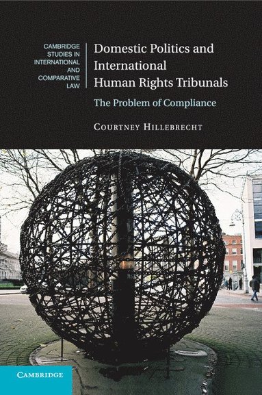 bokomslag Domestic Politics and International Human Rights Tribunals