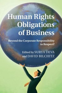 bokomslag Human Rights Obligations of Business