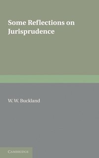 bokomslag Some Reflections on Jurisprudence