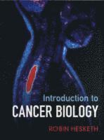 bokomslag Introduction to Cancer Biology