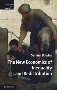 bokomslag The New Economics of Inequality and Redistribution