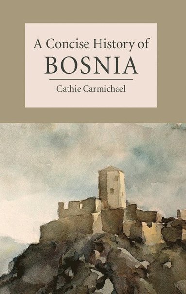 bokomslag A Concise History of Bosnia