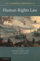 The Cambridge Companion to Human Rights Law 1