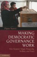 bokomslag Making Democratic Governance Work