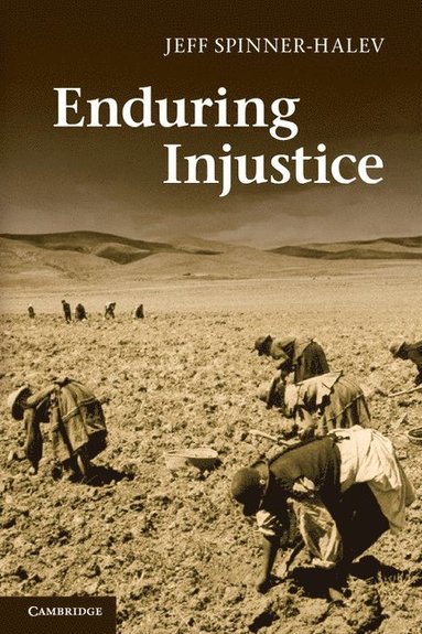 bokomslag Enduring Injustice