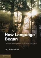 How Language Began 1