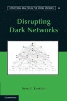 bokomslag Disrupting Dark Networks