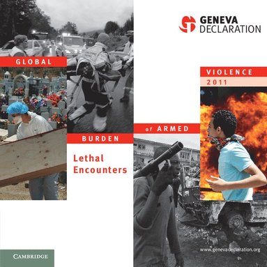 bokomslag Global Burden of Armed Violence
