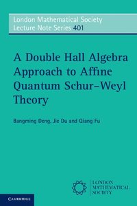 bokomslag A Double Hall Algebra Approach to Affine Quantum Schur-Weyl Theory
