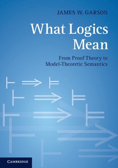 bokomslag What Logics Mean