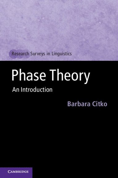 bokomslag Phase Theory