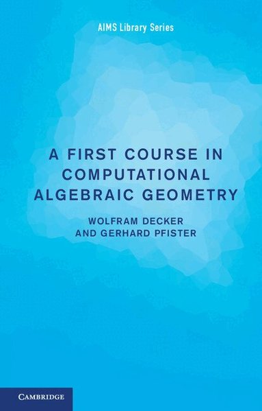 Wolfram Decker, Gerhard Pfister - A First Course in Computational Algebraic Geometry, Häftad
