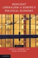 Resilient Liberalism in Europe's Political Economy 1