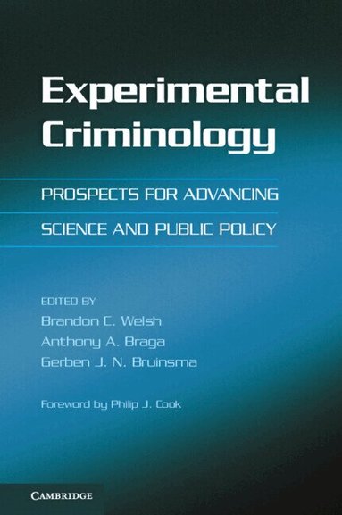 Brandon C. Welsh, Anthony A. Braga, Gerben J. N. Bruinsma - Experimental Criminology, Häftad