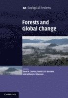 bokomslag Forests and Global Change