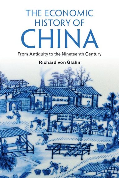 bokomslag The Economic History of China