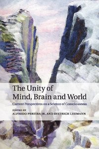 bokomslag The Unity of Mind, Brain and World