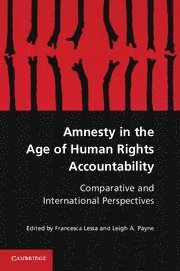 bokomslag Amnesty in the Age of Human Rights Accountability