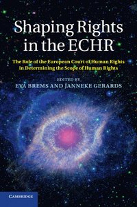 bokomslag Shaping Rights in the ECHR